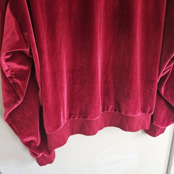 Aviator Nation Red Velvet Relaxed Sweatshirt - Picture 9 of 11